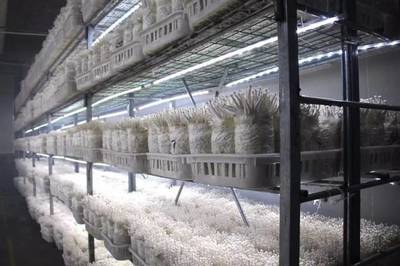 聚焦扶贫产业基金 汇聚发展新合力——贵州省脱贫攻坚投资基金扶贫产业子基金毕节市工作专题推进会在大方县召开
