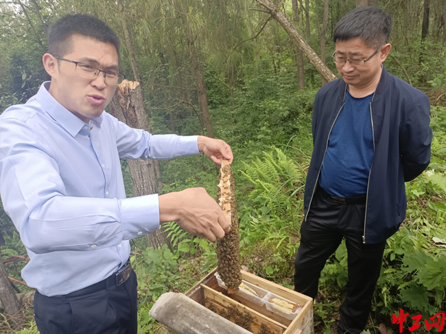 贵州科技攻关助推“甜蜜”产业发展